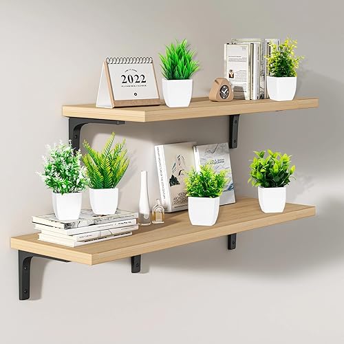 BBWELL 6 Pièces Plantes Artificielles,Mini Fleurs Artificielles en Pot,Fausse Plante Interieur au Design Naturel,Pot Verdure Artificielle en Plastique pour Bureau Salon Chambre Salle De Bain - Nail Gallerys