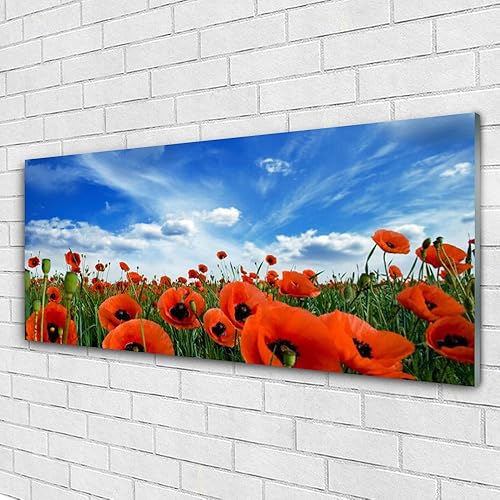Tulup Impression sur Verre Trempé 140x70cm - Plastique Imprimés Tableau Mural Moderne Décoration Déco Design 4 Crochets - Meadow Coquelicots Floral - Nail Gallerys