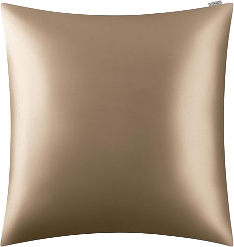DISANGNI Taie d'oreiller 100 % soie de mûrier naturelle pour les cheveux et la peau avec fermeture éclair dissimulée, 22 mommes, taie d'oreiller en soie véritable des deux côtés Taupe 60 x 60 cm - Nail Gallerys