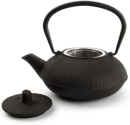 Théière japonaise en fonte noire avec tamis 500 ml - Nail Gallerys