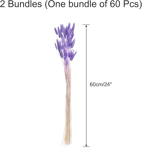 QUARKZMAN 120Pièces de Queues de Lapin Naturelles Séchées 24' Mini Herbe de Pampa Lagurus Ovatus pour Décoration Florale de Mariage Noël, Violet - Nail Gallerys
