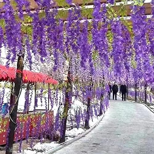 12 branches de glycine à suspendre - 100 cm - En soie - Résistante aux intempéries - Violet - Pour décoration de maison, fête, mariage - Nail Gallerys