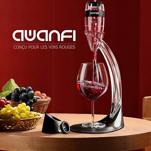 AWANFI Décanteur à Vin Aérateur à Vin avec Support Bras Coffret Aerateur Decanteur Vin Carafe vin - Nail Gallerys