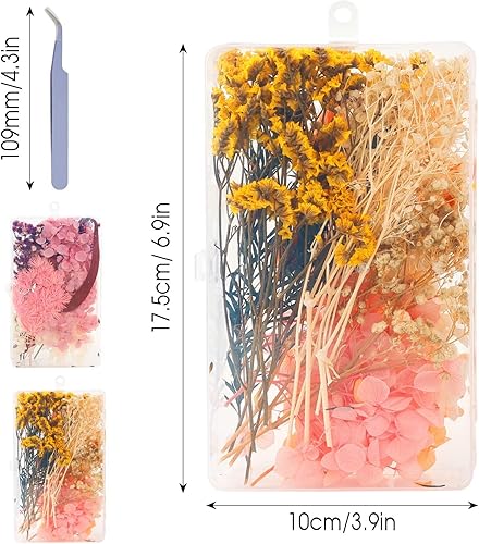 EKOCEV Fleurs séchées, 2 Ensemble de Fleurs Séchées, Mélange Fleurs séchées Multicolores, Fleurs Séchées et Feuilles Séchées, pour Fabrication Artisanale, Scrapbooking, Bricolage Résine - Nail Gallerys