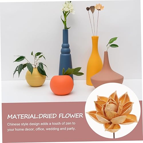 CRILSTYLEO Ensemble De Fleurs Séchées De Lotus Avec Tiges Compositions Naturelles Décoration Intérieure De Chambre De Jardin Zen - Nail Gallerys