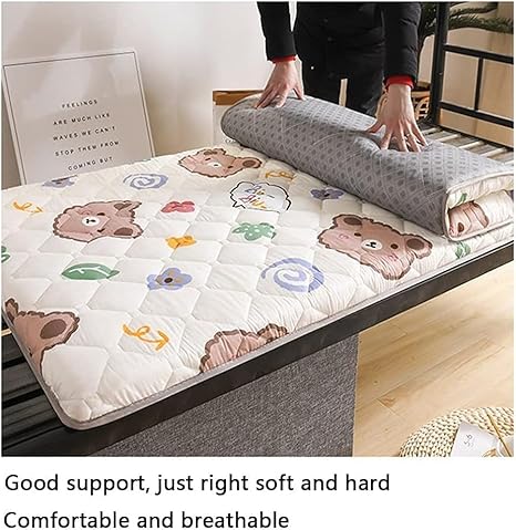 QiuShuiDr Matelas futon Japonais, Matelas Portable Double, Simple, Tatami, Matelas de Sol épais Enroulable pour invités, dortoirs, Camping, canapés (Color : F, Size : 80 * 190CM) - Nail Gallerys