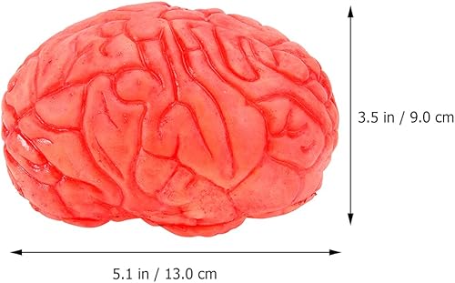 Hemoton Lot de 2 faux cerveau humain pour Halloween - Nail Gallerys