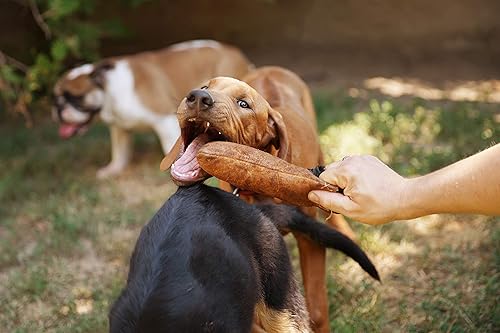 Julius-K9 18421 Boudin à mordre en coton/nylon avec couture extérieure et 1 anse, 20 x 5 cm - Nail Gallerys