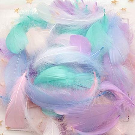 Lot de 100 plumes colorées naturelles en plumes naturelles pour loisirs créatifs, boucles d'oreilles, mariage, attrape-rêves, costumes, chapeaux, décoration de maison, fête d'Halloween, couleurs - Nail Gallerys