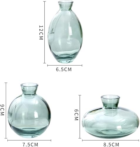 Hniuyun Lot de 3 vases en verre, mini vases à bourgeons de fleurs, vase hydroponique transparent, minimaliste, esthétique, décoration d'intérieur (bleu) - Nail Gallerys