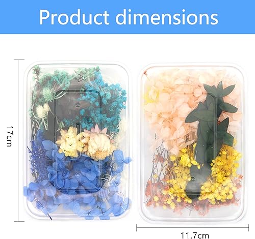 CONNECTION 2 Boîtes Resine Epoxy Fleurs Sechees Naturelles Pressées Et de Feuilles Mélangées Fleur Séchée Multicolores Mini Fleurs Séchées pour Bricolage Artisanat Bougies Scrapbook Décoration - Nail Gallerys
