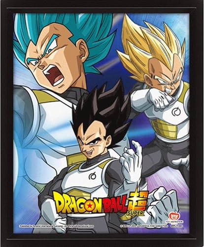 Pyramid International – Cadre lenticulaire 3d - Vrai effet de mouvement et de profondeur – Dragon ball super - Rivals – Idée cadeau anniversaire - 25.5x20.5 – Licence officielle - Nail Gallerys