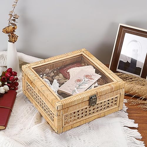 IGNPION Boîte décorative en rotin avec couvercle, panier de rangement rectangulaire en rotin tissé pour décoration de la maison (S), IGPUK0782 - Nail Gallerys