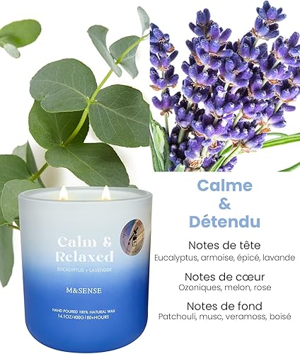 M&SENSE Bougie Parfumées Orange & Pamplemousse - Bougie Citrus Éclatante 80h Combustion, Arôme Dynamique pour Cuisine, Cadeau Maison Frais et Moderne - Nail Gallerys