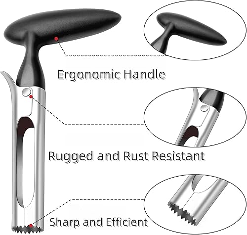 Heanvmyss Vide Pomme Acier Inoxydable,Vide Pomme Trognon,Vide-pomme avec Poignée,Dénoyauteur de Fruits,Extracteur Poires pour Maison,Cuisine,Ananas(Noir) - Nail Gallerys