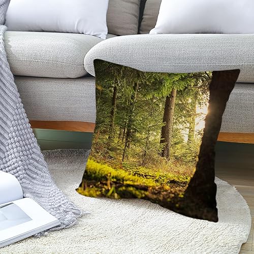 Daesar Lot 4 Housse Coussin 45x45, Taie d'oreiller Arbre de Lumière du Soleil Doux Decoration Maison Salon Chambre pour Canapé Marron Vert, Lin - Nail Gallerys