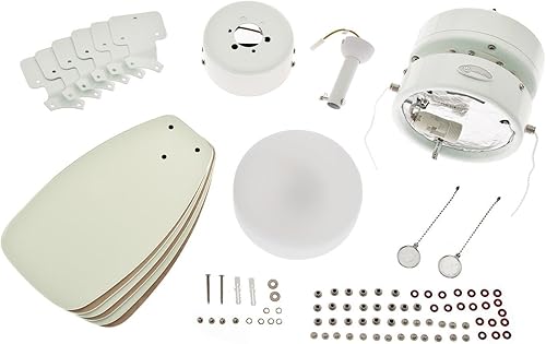 78788 Ventilateur de plafond d'intérieur à six pales et une lampe Flora Royale de 76 cm, finition chrome satiné avec verre opale dépoli - Nail Gallerys