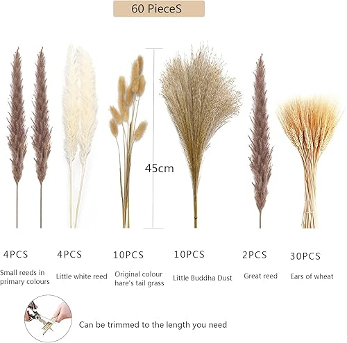 Pampa Séchées Naturelle Décoration, 60 Pièces Fleurs Séchées 40-44cm, Bouquet Séché Décor d'herbe de Pampa Plantes Décoratives en Herbe Pampa pour Boho Arrangements Mariage, Maison, Chambre,Vacances - Nail Gallerys