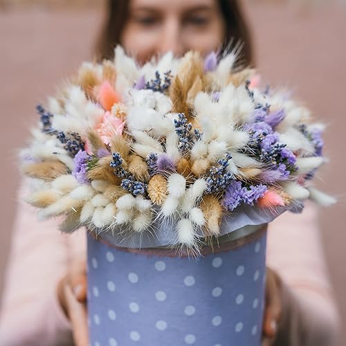 Relaxdays Mousse Florale pour Les Fleurs sèches, Lot de 12 Briques, Mousse d’Arrangement, Mariage, 8x22,5x10,5 cm, Gris - Nail Gallerys