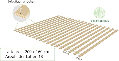 Generisch Sommier déroulable en contreplaqué de Bouleau 160 x 200 cm Lit, Cadre, Dormir, Confort, Bois, Naturel, Chambre à Coucher - Nail Gallerys
