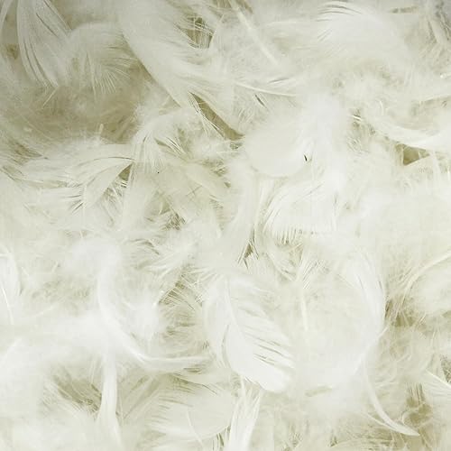 Linnea Rembourrage 70% Plumes de Canards 30% Duvet Sac 1 kg - Nail Gallerys