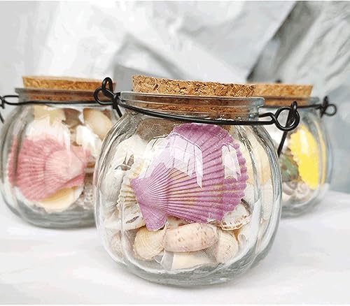 230g Shell est Mixte, Coquillages Naturels, Coquillages de Plage, Palourdes Artisanales, Coquillages Déco, pour Remplisseurs de Vases, Décor de Mariage de Fête à Thème de Plage Fabrication de Bougies - Nail Gallerys