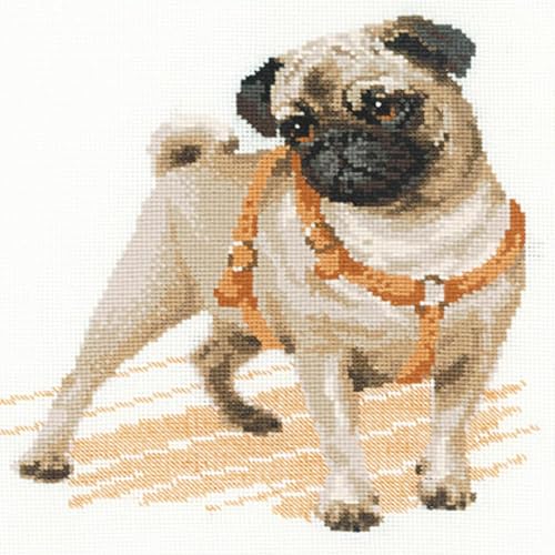 Riolis RI-1176 Kit de Broderie au Point de Croix Le Carlin Multicolore - Nail Gallerys