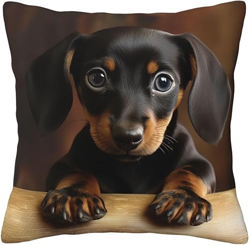 GDSHJKLW Housses de coussin carrées décoratives modernes pour canapé, lit et chien, teckel, 50,8 x 50,8 cm - Nail Gallerys
