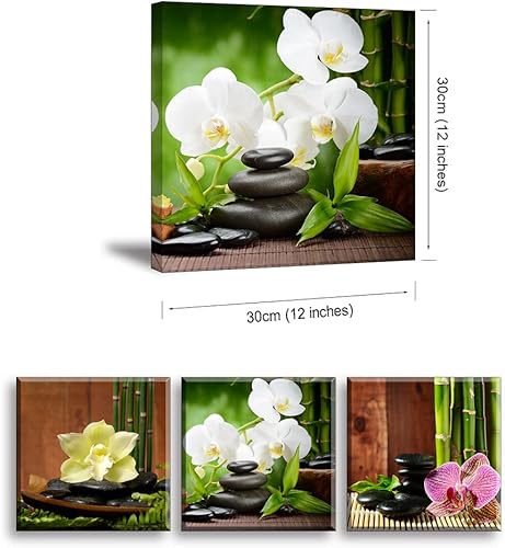 Piy Painting, Photo sur Toile, Bambou Vert, Impressions Nature Images Murales Tendues Et Encadrées, Photos d'œuvres d'art pour Domicile Décoration Moderne Anniversaire Cadeau 30x30cm, Lot de 3 - Nail Gallerys