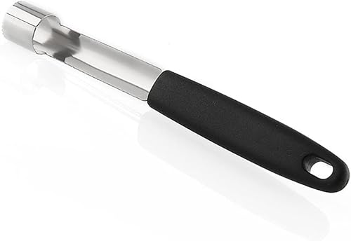 ETZRYSYB Éplucheur de pommes en acier inoxydable - Nail Gallerys