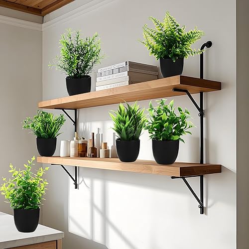 BUCOMTU Lot de 6 Plantes Artificielles Interieur, Mini Plantes Artificielles, Fausses Plantes avec Pots, Plantes en Plastique pour Bureau, Chambre, Salle de Bain, Cuisine et Salon - Nail Gallerys