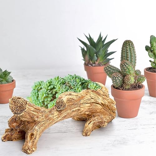Tyenaza Jardinière Artificielle en Bois Flotté, Jardinière Succulente en Résine, Souche d'arbre Vintage, Bûche comme Pot De Fleurs pour Décoration De Jardin De Maison (37,1 X 13 X 10,9 Cm) - Nail Gallerys