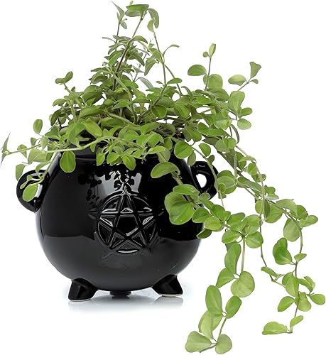 Puckator Plan28 Pot de Fleurs autoportant en céramique en Forme de Chaudron de sorcière Noir - Nail Gallerys