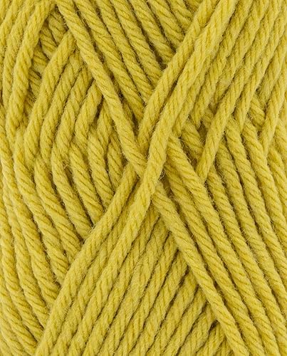 Phildar - Pelote de Laine Phil Partner 6 - Laine à Tricoter - 25% Laine peignée,25% Acrylique,50% Polyamide - Aiguille n°6 - Couleur Absinthe - Nail Gallerys