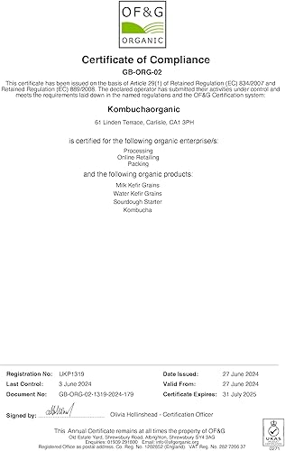 The Europe Beautiful Kombucha XL Scoby Starter Tea Kombucza Probiotic Detox - Nail Gallerys