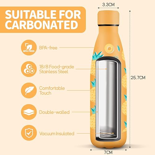 HoneyHolly Gourde Isotherme, Acier Inoxydable 18/8, Bouteille Isotherme, 500ML Sans BPA, Gourde Inox Enfant, Étanche Double Isolation, Gourde Inox pour Le Camping, Les Écoles, Les Gymnases - Nail Gallerys