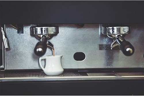 Lot de 12 paquets de détartrant Krups F054 - Avec 2 sachets de 40 g par paquet - Nail Gallerys