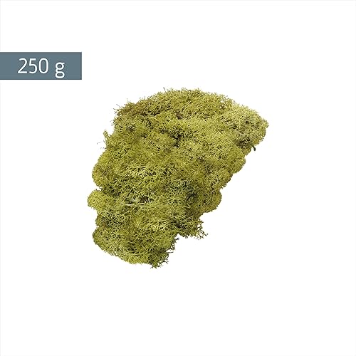 Gütermann/KnorrPrandell 6695426 Mousse d'Islande Vert Citron 250 g - Nail Gallerys