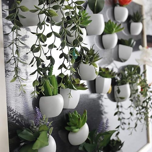 SUJING 1 aimant magnétique pour réfrigérateur - Motif plante succulente - Décoration d'intérieur - Autocollant pour réfrigérateur - Message créatif - Cadeau (1 pièce) - Nail Gallerys