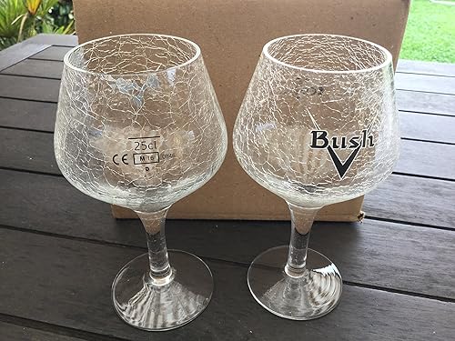 4 VERRES BUSH 33CL HT. 19cm - Nail Gallerys
