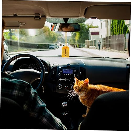 Garneck Lot de 10 amulettes porte-bonheur pour sac de bénédiction - Amulette japonaise porte-bonheur - Cadeau pour homme - Décoration chinoise - Breloque chat - Décoration d'intérieur pour homme - Nail Gallerys