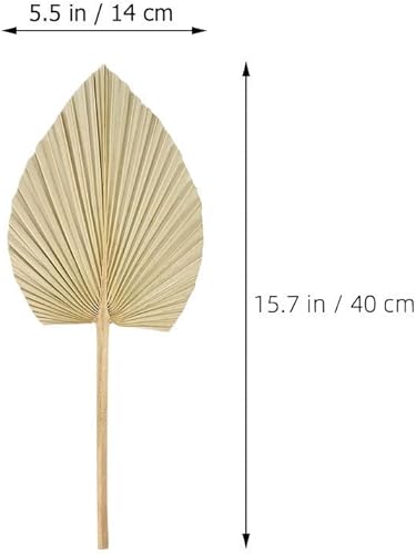 Abaodam 4Pcs Décoration Feuille De Palme Ornement Hawaii Décor Hawaïen Table Décor Rustique Fleurs Seces Plantes Fausse Feuille De Palme Décoration Légumes Pampas Cocktail - Nail Gallerys