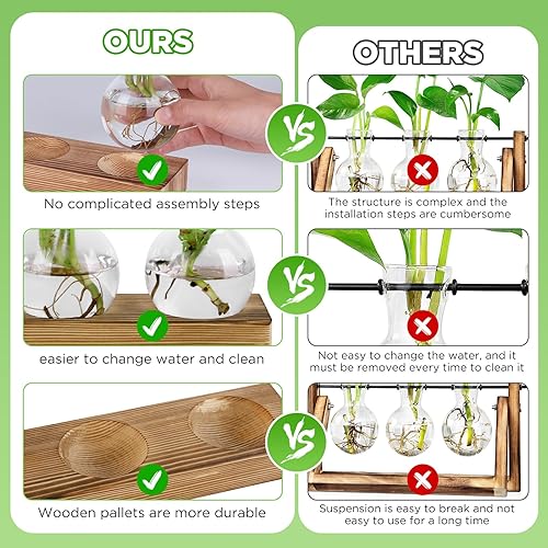 Miawtro Station de propagation, 3 vases en verre avec support rétro en bois massif, terrarium pour plantes hydroponiques, boutures, bureau, décoration de la maison - Nail Gallerys
