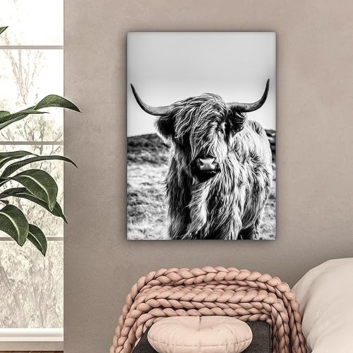 MuchoWow Toile Vache - Highlander écossais - Noir - Blanc - Animal - Nature - Vie sauvage - Decoration murale - 60x80 cm - Tableaux de salon - Deco chambre - Peinture - Nail Gallerys