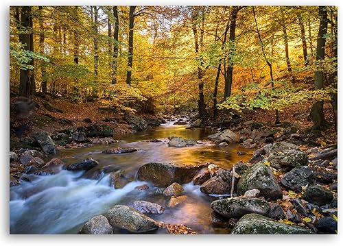 Feeby Impression sur Toile Intissé Nature Rochers Arbres Forêt 90x60 cm Image décoration Murale Design Chambre d'enfant Cascade Plantes Ruisseau Chute d'eau vert - Nail Gallerys