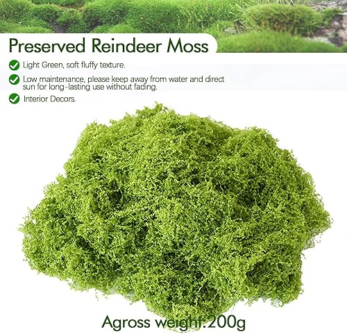 BREANIFULL 200 g de mousse artificielle pour bricoler, fausses plantes, artisanat, mousse d'art pour décoration esthétique, mousse de bricolage, mousse décorative pour modélisme, Noël (vert clair) - Nail Gallerys