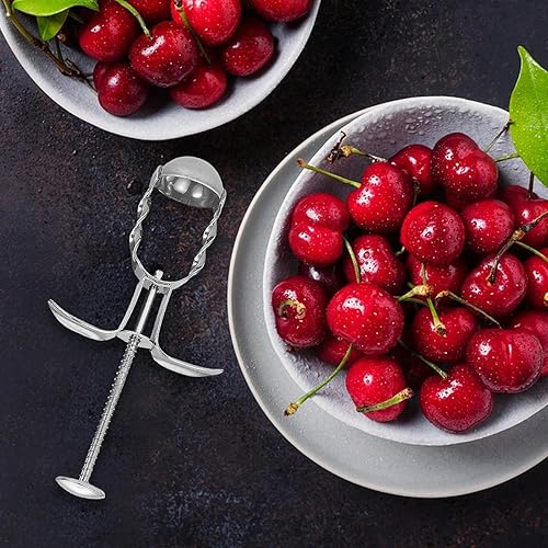 Dénoyauteur de dattes rouges | Dénoyauteur de fruits portable en acier inoxydable - Outil multifonction pour cerises, jujubes, dattes rouges - Nail Gallerys