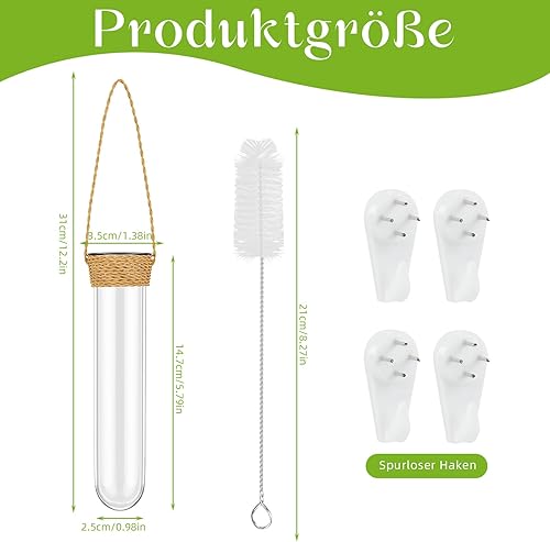 Lot de 4 vases à essai décoratifs en verre - Créatifs - Pour fleurs, petits vases muraux - Décoration de fenêtre - Vase mural suspendu avec crochet et brosse de nettoyage - Pour plantes hydroponiques - Nail Gallerys