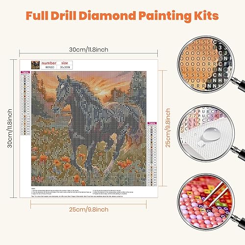 HEIBAGO Fleur Diamont Painting Complet, 5D Cheval Peinture Diamant Adultes,Paysage Diamond Painting Complet Diamant Kit, DIY Animaux Strass Point de Croix Painting pour Murale Décoration 30x30cm - Nail Gallerys