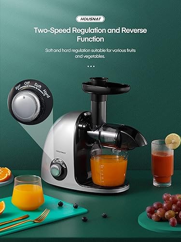 Housnat Extracteur de Jus, Extracteur de Jus de Fruits et Légumes avec 3 Vitesses, Moteur Silencieux, Nutriments Maximaux, Extracteur Jus Facile à Nettoyer et à Utiliser avec Brosse de Nettoyage - Nail Gallerys